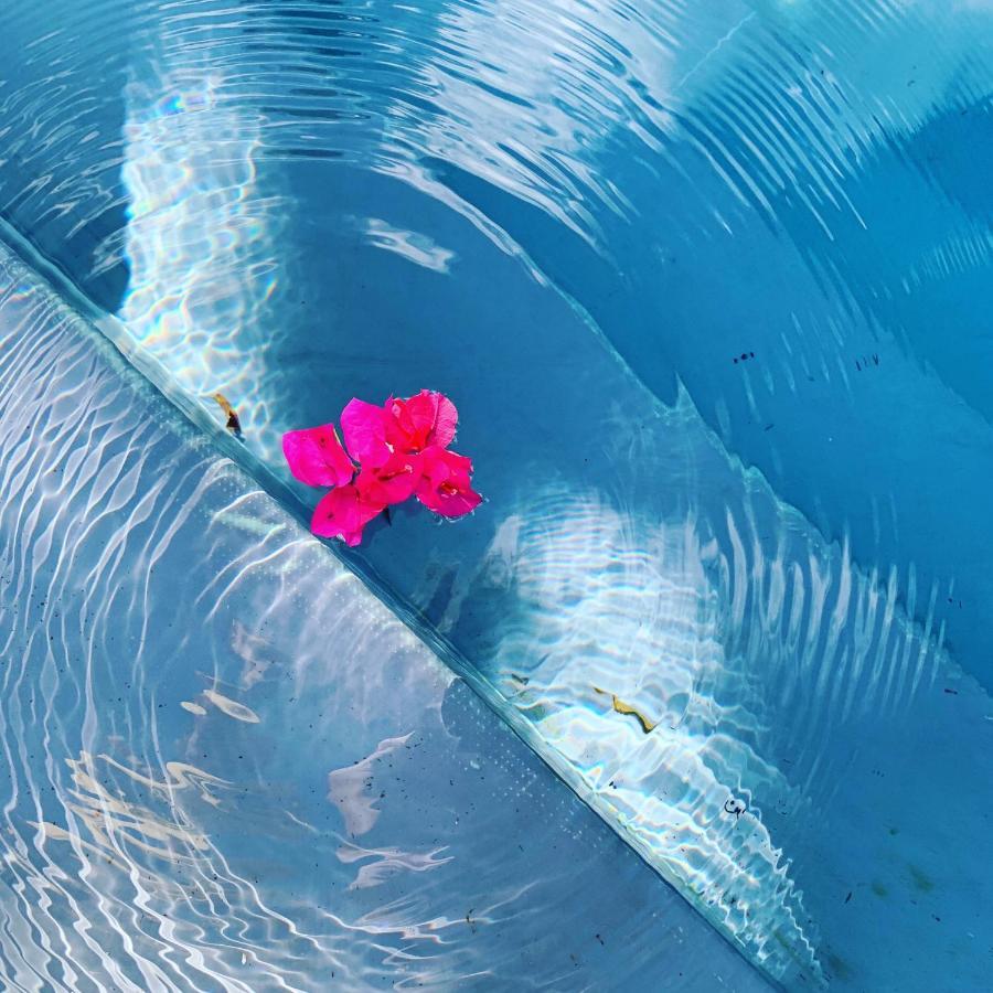 A Natural Retreat 米哈斯 外观 照片
